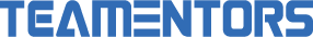 ERP TEAMENTORS